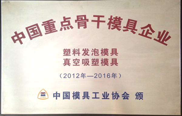China key and important mould enterprise